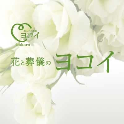 yokoi_top_img